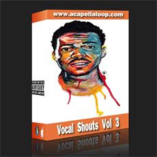 人声素材/Vocal Shouts Vol 3